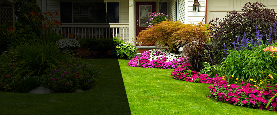 Mill Spring Landscapers